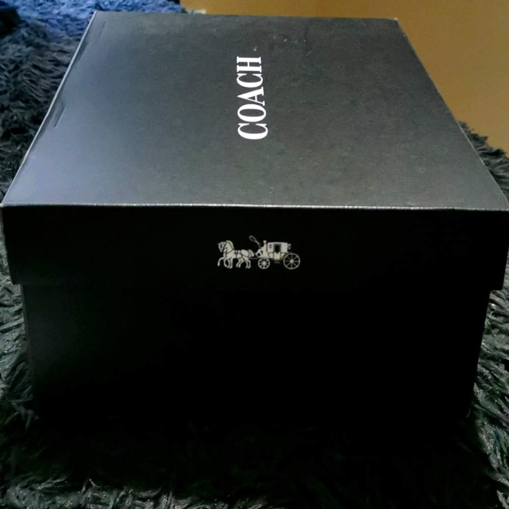 coach shoebox large